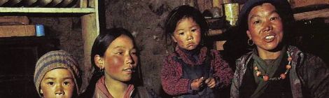 What are Sherpa Guides?