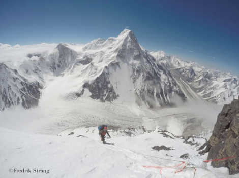 Screen Shot 2017-07-15 at 8.12.52 AM