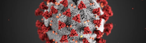 Coronavirus Disease 2019 (COVID-19) Advisories, Care & Prevention